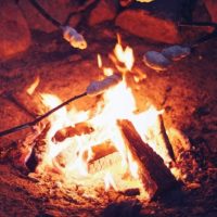 barbecue-bonfire-burn-small