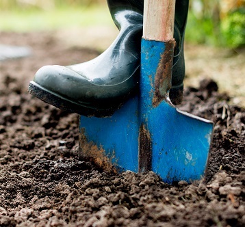 Worker,Digs,The,Black,Soil,With,Shovel,In,The,Vegetable
