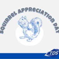 Squirrel appreciation day